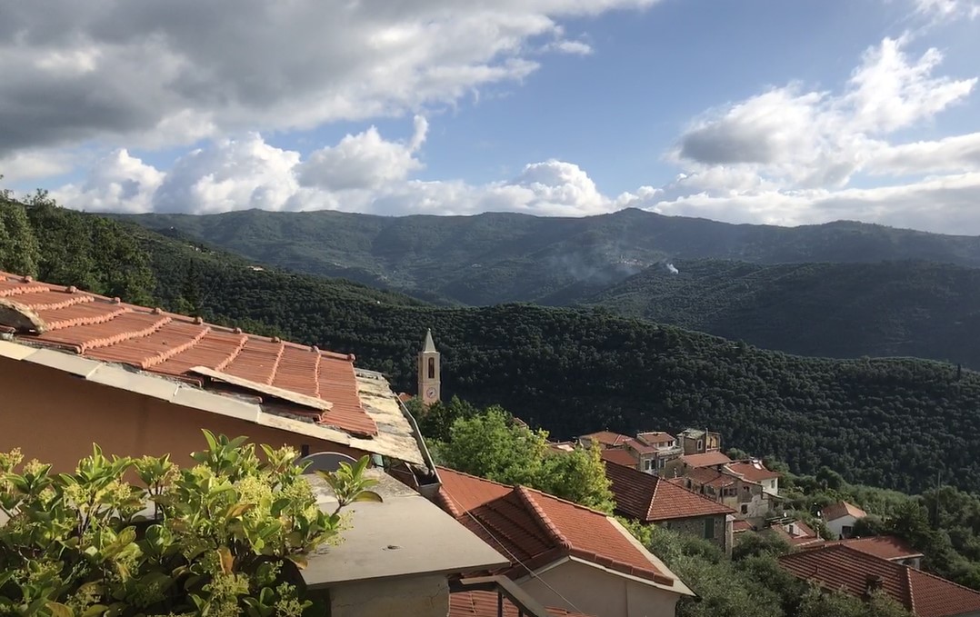 testimonial
                          img